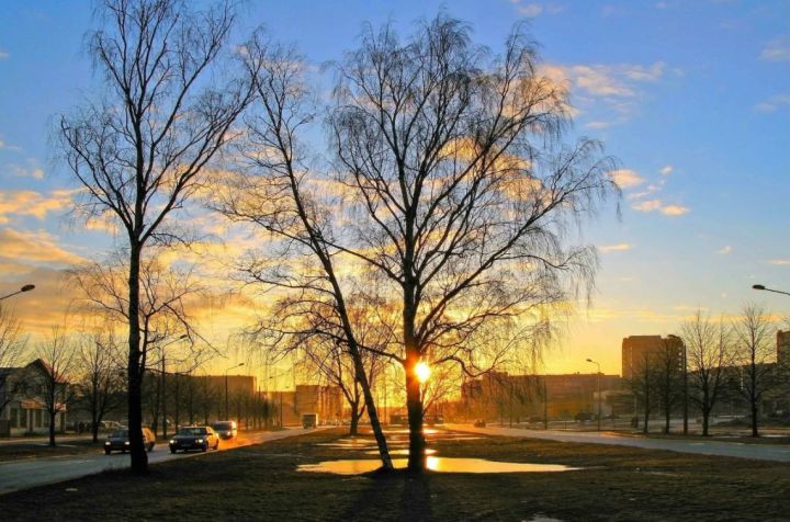 Ночью мокрый снег, днём до +9: синоптики рассказали о погоде в ЛНР накануне выходных