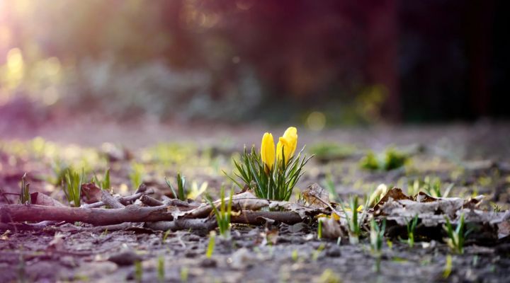 Тепло и без осадков: какой погоды ждать жителям ЛНР на выходных?