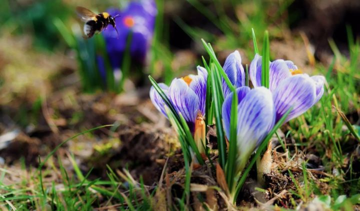 Утром - туман и изморозь, днём - весенняя теплота: прогноз погоды в ЛНР на 24 марта