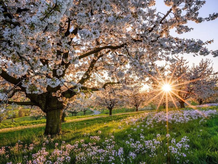 Потепление ожидается в ЛНР: прогноз погоды на 25 марта