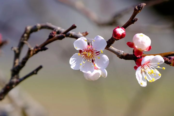 Настоящая весна пришла в ЛНР: 26 марта ожидается дождь с грозой и до +14