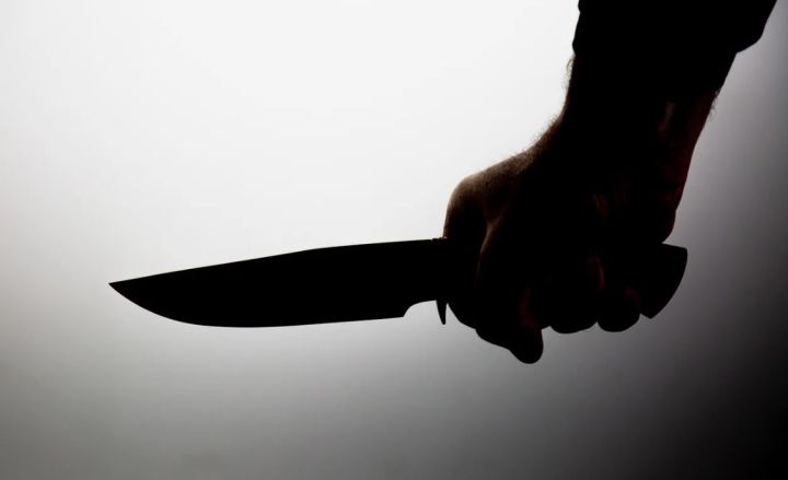 В одном из городов ЛНР полиция раскрыла двойное убийство по «горячим следам»