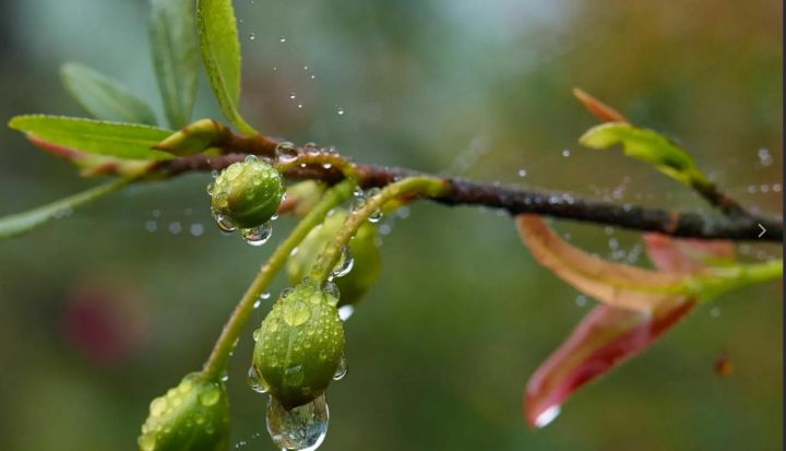 До +17, с небольшим дождём, грозой и ветром: какой погоды ждать жителям ЛНР 29 марта?