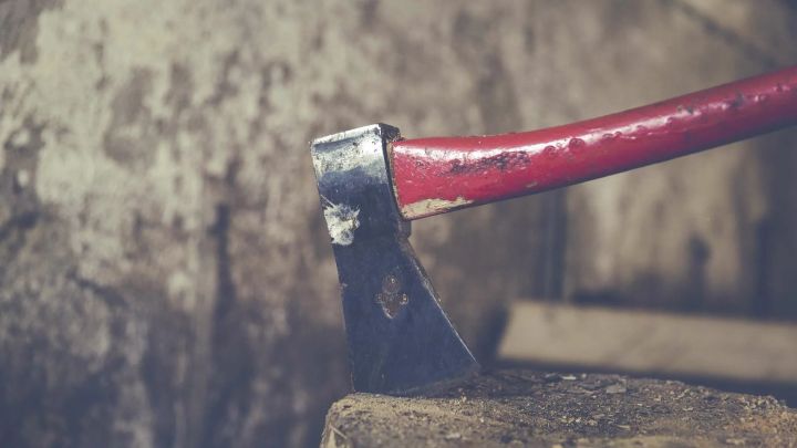 В Подмосковье дочь расчленила отца во время семейного ужина и сложила тело в холодильник