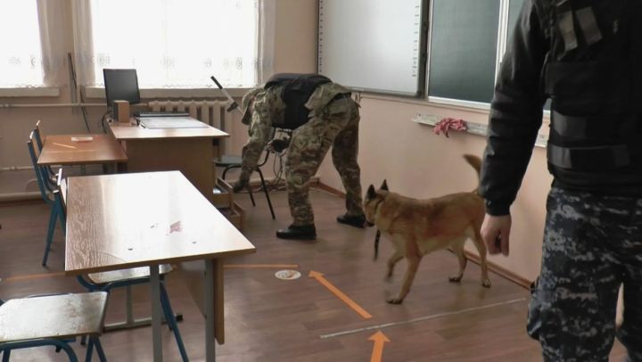 В населённом пункте ЛНР правоохранители искали бомбу в школе