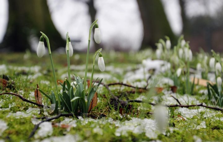 Заморозки отступили: прогноз погоды в ЛНР на 7 апреля
