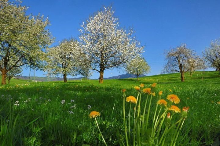 До +26ºС тепла: прогноз погоды в ЛНР на 8 апреля