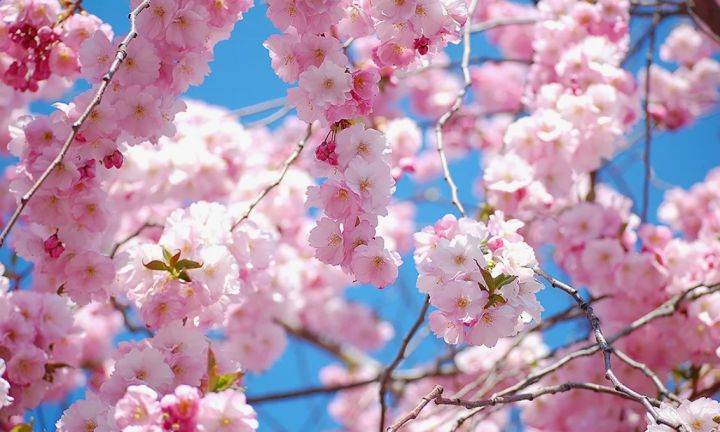 Потепление до +28 в ЛНР принёс антициклон из Азии: на сколько задержится такая температура?