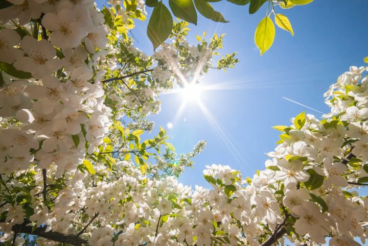 Лето на дворе: жара до +28 ожидается в ЛНР 10 апреля