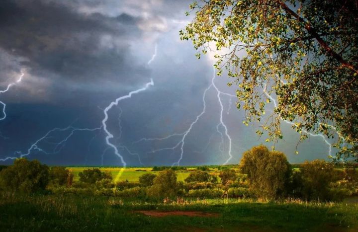 Гроза, дождь и до +27°С: прогноз погоды в ЛНР на 12 апреля