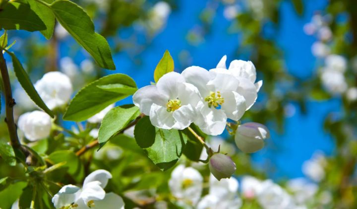 Сухая и ветреная погода: в ЛНР 13 апреля ожидается до +25 градусов