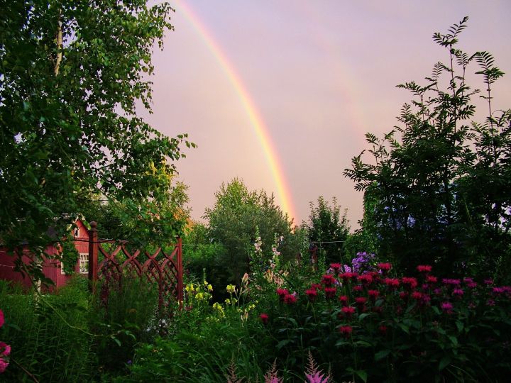 Тепло, но дождливо: прогноз погоды в ЛНР на 14 апреля