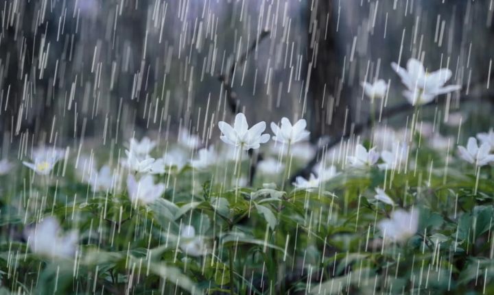 Непогода придёт в ЛНР 15 апреля