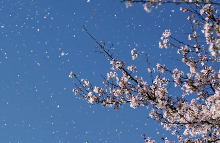 Внимание! Штормовое предупреждение объявлено в ЛНР на 15 апреля