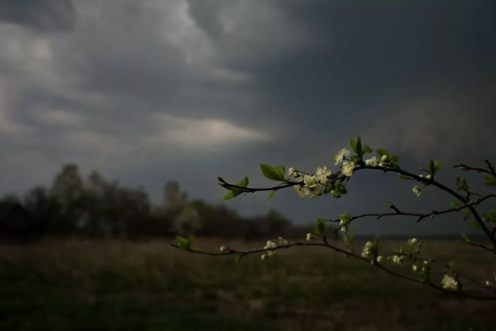 Дождь, гроза и ветер: какой погоды ждать жителям ЛНР 16 апреля?