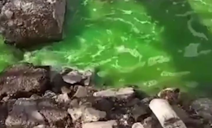 Ручей термоядерно-зелёного цвета бежит по улице в Пензе: местные ищут причины явления