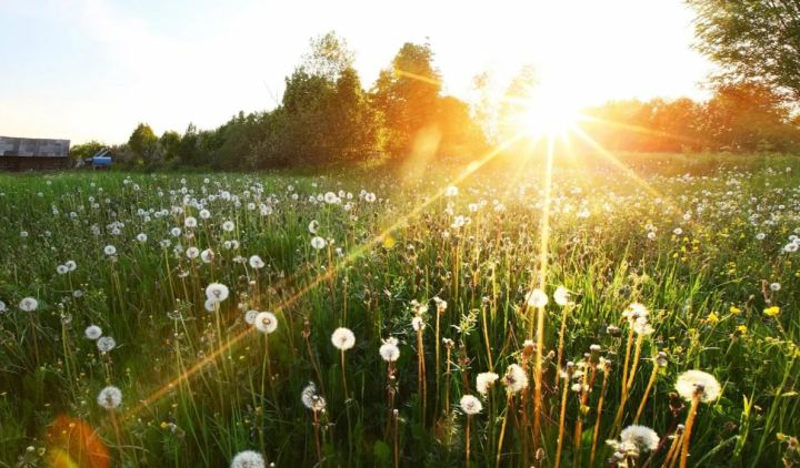 Жары не будет: климатологи рассказали о погоде летом в российском регионе, граничащем с ЛНР