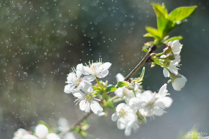 Второй день осадков: синоптики прогнозируют в ЛНР 19 апреля дождь с грозой