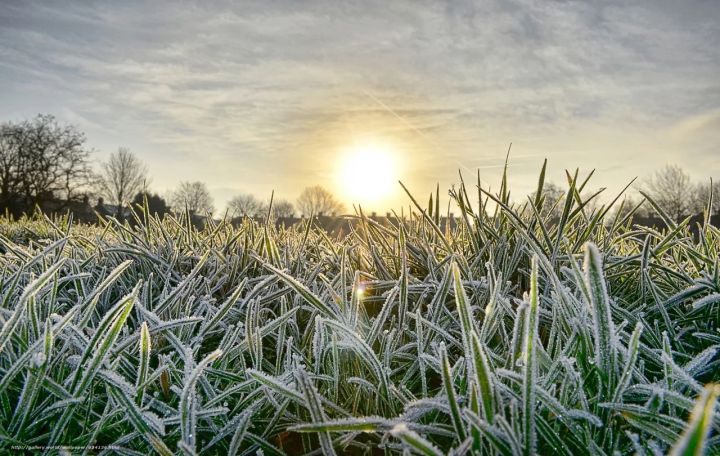 Ночью заморозки, днём до +24: синоптики рассказали о погоде в ЛНР 20 апреля