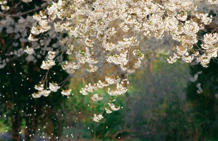 Будет ветрено и дождливо: прогноз погоды в ЛНР на 21 апреля