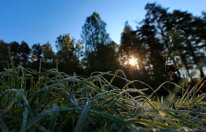 Внимание! Штормовое предупреждение объявлено в ЛНР 24 апреля