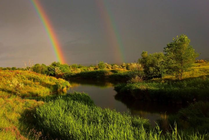Дождь, ветер и до +29. Синоптики рассказали о погоде в ЛНР 25 апреля