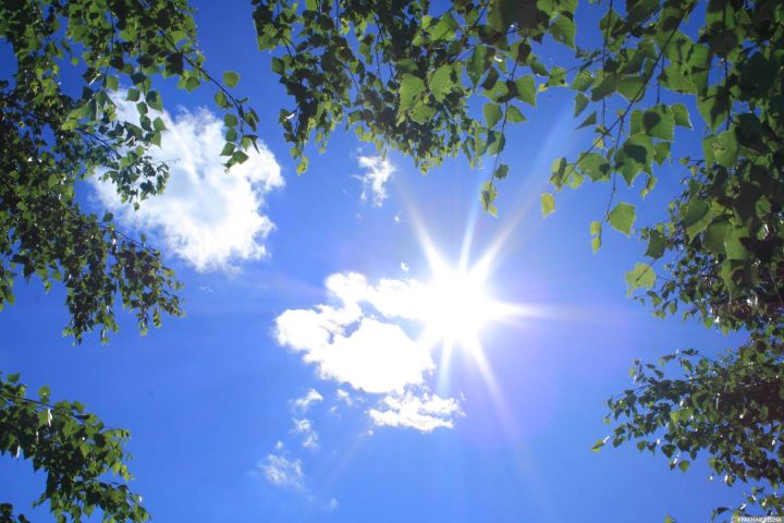 Снова жара и сильный ветер. В ЛНР 26 апреля ожидается до +30 и небольшой дождь с грозой