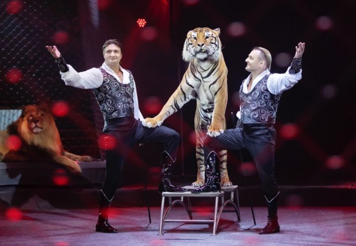 Братья Запашные приехали с гастролями в Луганск: чего ожидать зрителям от шоу-программы?