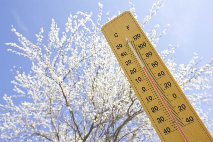 Выходные в ЛНР начнутся с тёплой и ветренной погоды