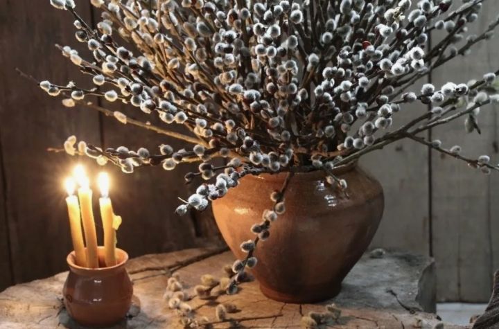 Вербное воскресенье 2024: зачем нужно пить отвар из вербы и почему стоит отложить дачные работы