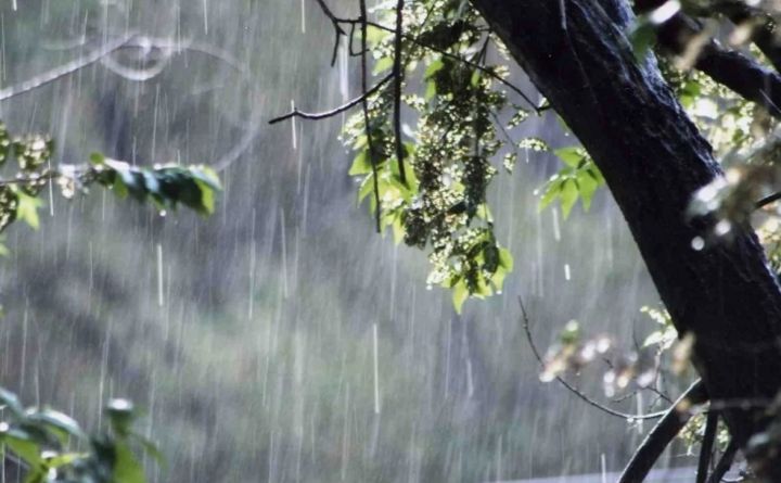 Ветер и снижение температуры: прогноз погоды на 29 апреля в ЛНР