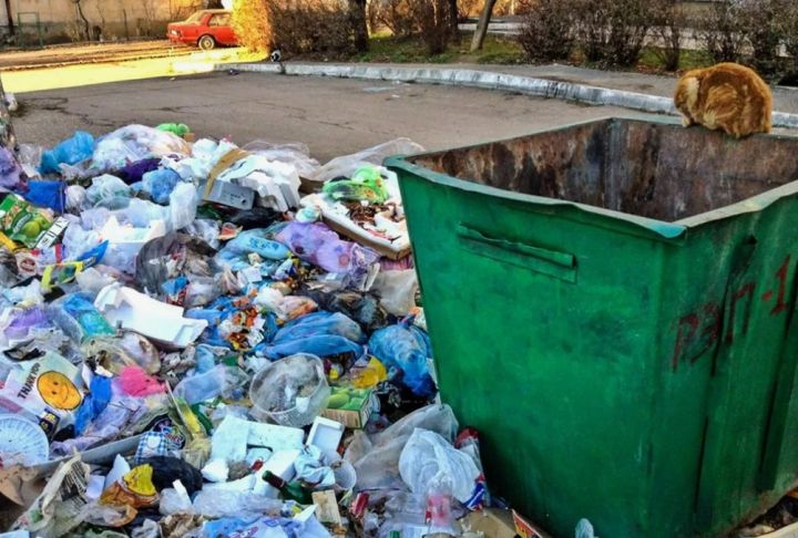 У мусорок Луганска установят скрытые камеры: будут ловить нарушителей и следить за коммунальщиками