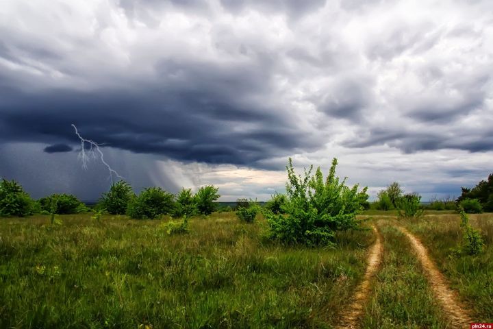 Дождь с грозой и утренний туман прогнозируют синоптики в ЛНР 2 мая