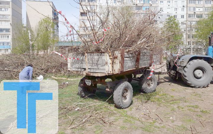 Свердловчан привлекли к очистке города от сухих веток