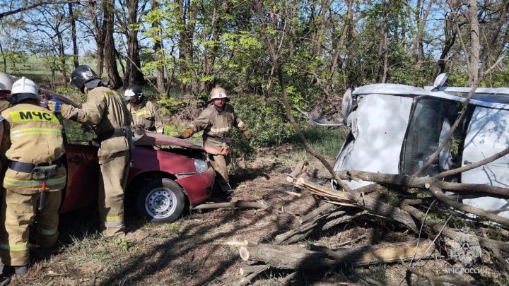 Люди были зажаты в груде металла: на трассе в ЛНР столкнулись два автомобиля