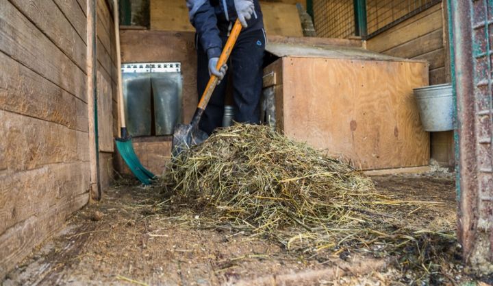 Жителей ЛНР будут штрафовать за неправильное обращение с навозом