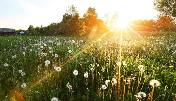 Тепло снова вернётся в ЛНР: синоптики рассказали о погоде в Республике 7 мая