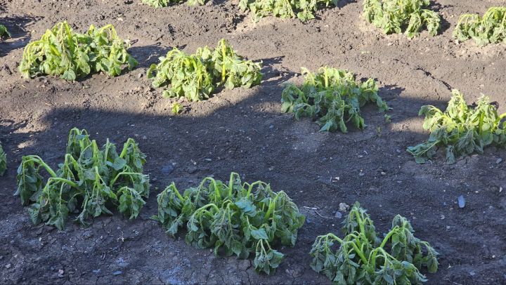 Свердловский округ «заморозило»