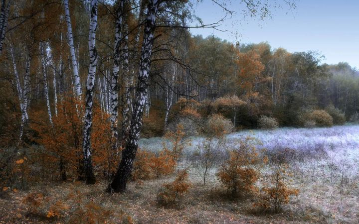 Прогноз погоды в ЛНР и Луганске на День Победы