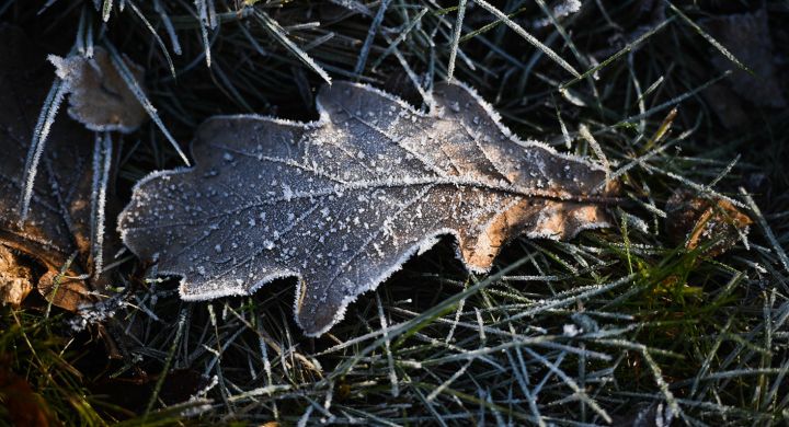 Очередные заморозки ночью и до +17 днём прогнозируют синоптики в ЛНР 10 мая