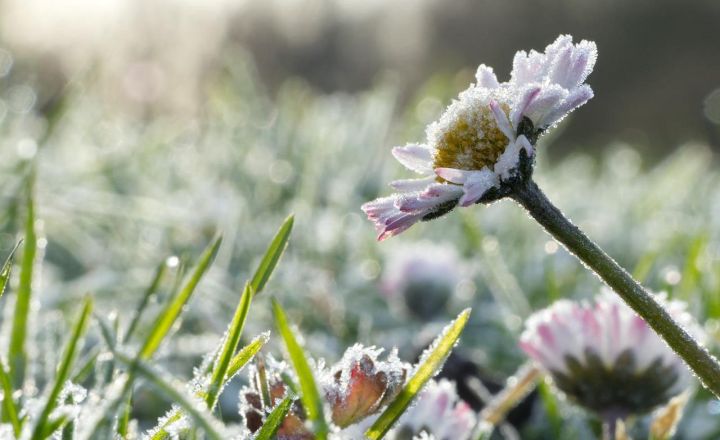 Внимание, население! Штормовое предупреждение объявили синоптики на 2 дня