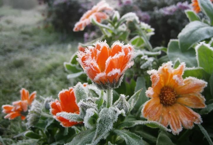 Прогноз погоды в ЛНР и Луганске на День Республики