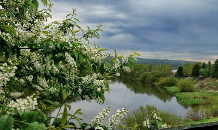 Заморозки – всё: прогноз погоды в ЛНР и Луганске на 13 мая