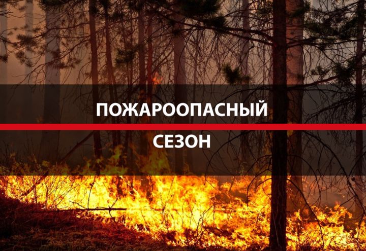 Вероятность пожара крайне высока: экстренное предупреждение объявили в ЛНР на два дня