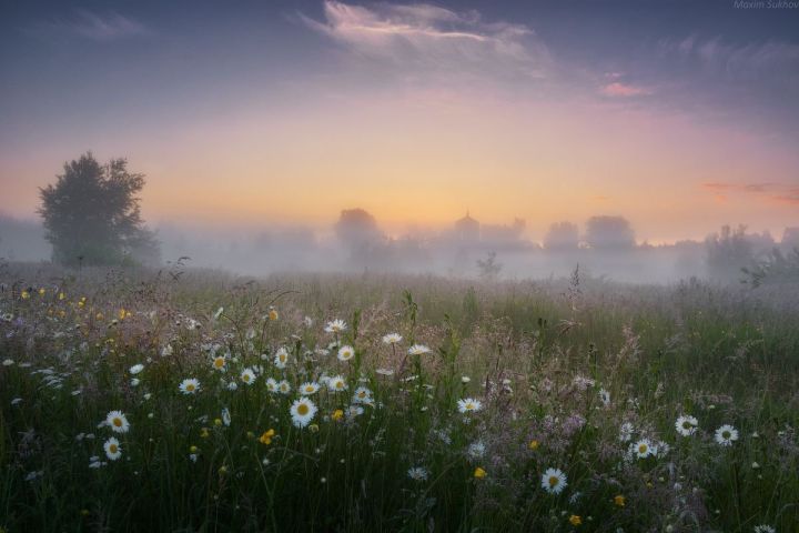 Ночью дождь, утром туман. Какая погода будет в ЛНР 17 мая?