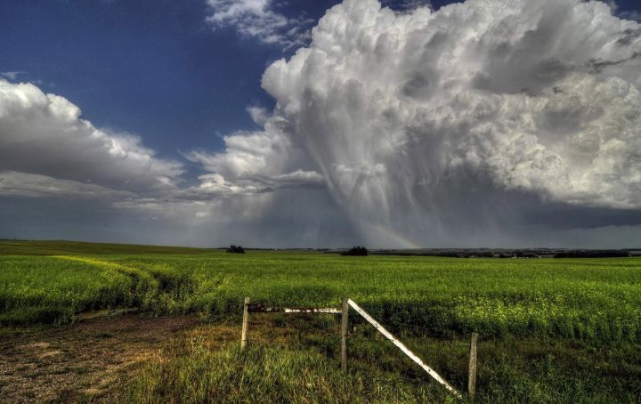 Дождь с грозой и до +21. Синоптики рассказали о погоде в ЛНР 18 мая