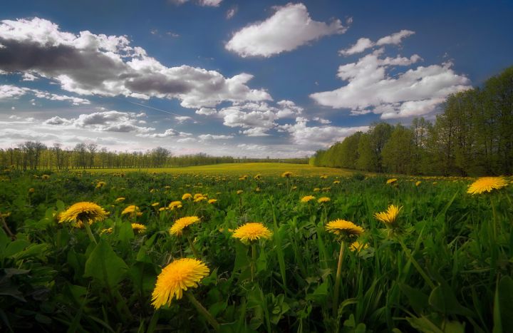 Потепление до +29 и без осадков: синоптики рассказали о погоде в ЛНР 22 мая