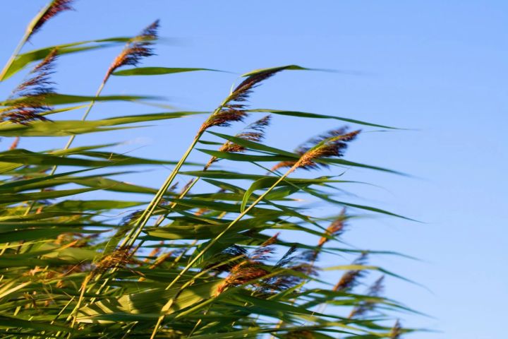 Внимание, население! В ЛНР 23 мая объявлено штормовое предупреждение