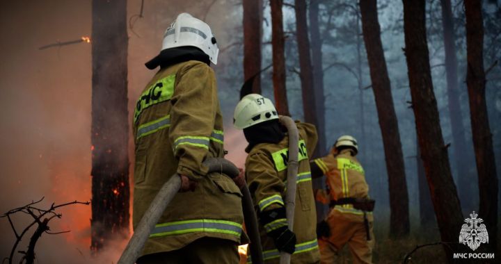 В одном из районов ЛНР почти сутки пытаются потушить лесной пожар, площадь которого составляет более 100 га