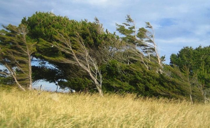 Внимание, население! Режим штормового предупреждения продлили в ЛНР до 25 мая включительно